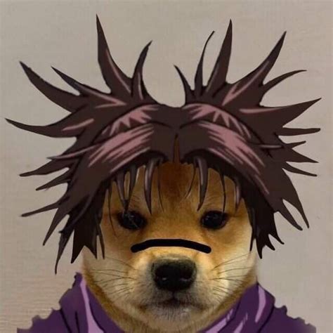 The Dog Is Wearing A Purple Shirt With Spikes On Its Head And Hair