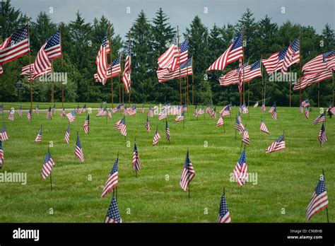 American Flags In Veterans Cemetery On Memorial Day Usa Stock Photo