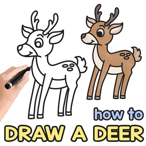 How To Draw A Deer Step By Step Drawing Tutorial En Vik News
