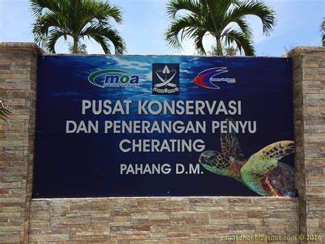 Di pejabat perikanan negeri melaka, semuapejabat daerahserta. Pusat Konservasi Dan Penerangan Penyu, Cherating | Once ...