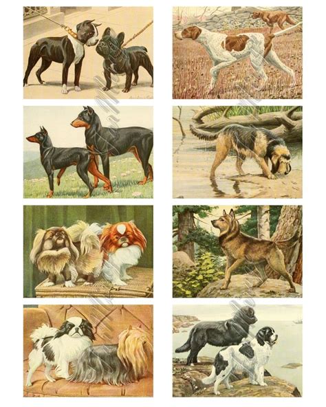 Dogs Set 1 Digital Collage Sheet 40 Atc Cards Printable Etsy