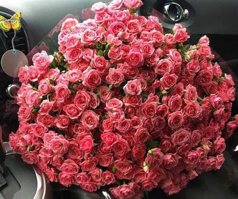 Pinterest ∂rneℓisse Цветы Розы Букет цветов