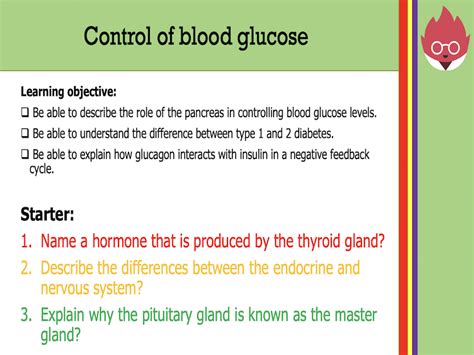 Aqa Gcse Biology Control Of Blood Glucose Levels Teaching Resources