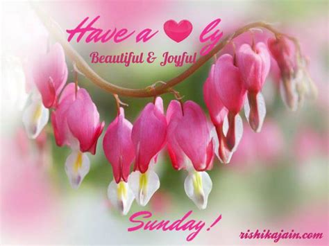 Wish You A Beautiful And Joyful Sunday Inspirational