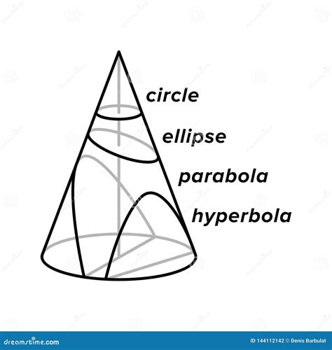 Círculo Elipse Parábola E Hipérbola Sección Cónica Curvada En