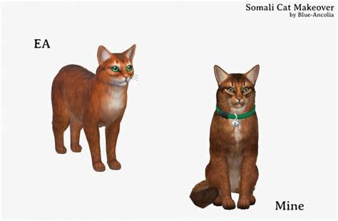 Sims 4 Cat Downloads Sims 4 Updates