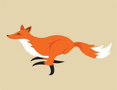 830 Running Fox Stock Illustrations Royalty Free Vector Graphics