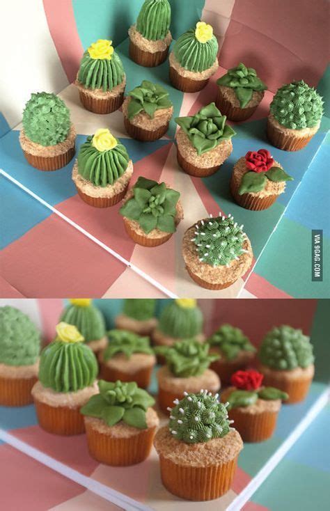 A change in color will alert you to important issues. Cactus Cupcakes | Cactus cupcakes, Succulent cupcakes ...