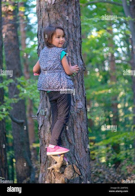 Little Girl Climbing On A Tree In The Forest Stock Photo Alamy