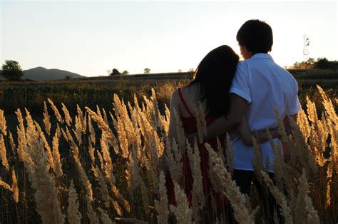 图片素材 树 厂 天空 女孩 女人 领域 小麦 阳光 男 晚间 收成 作物 一对 浪漫 农业 一起 拥抱 漂亮图片 乐趣 快乐 关系 漂亮照片