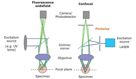 We did not find results for: Development of the Optical Microscope | October 31, 2014