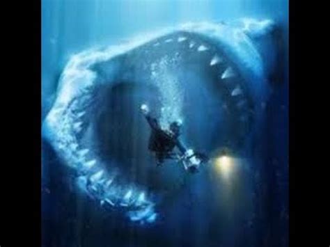 World's Largest Animal The Megalodon (BIGGEST SHARK EVER! - YouTube