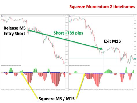 Buy The Squeeze Momentum Mt4 Technical Indicator For Metatrader 4 In