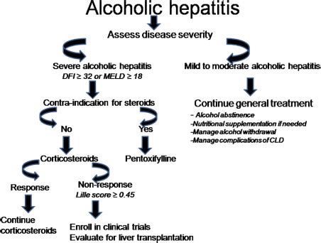 Alcoholic Hepatitis Prognostic Models And Treatment Abdominal Key