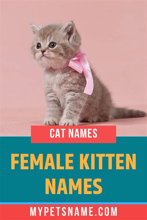 Unique Names Kittens Good Business Names