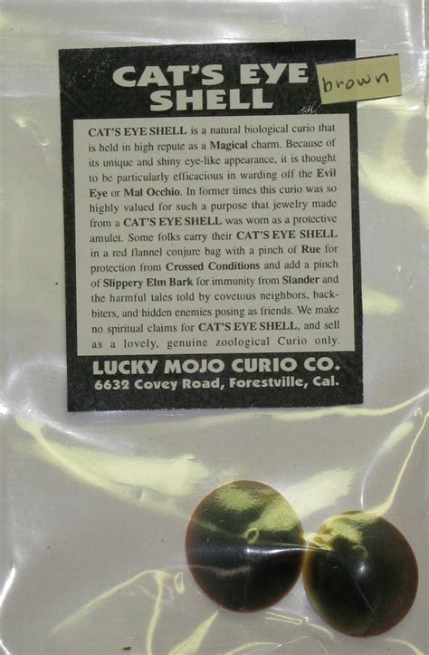 There are 1077 cats eye shell for sale on etsy, and they cost $8.66 on average. Herb Magic Catalogue: Cat's Eye Shell