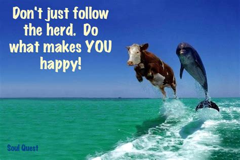 Follow The Herd Quotes Quotesgram