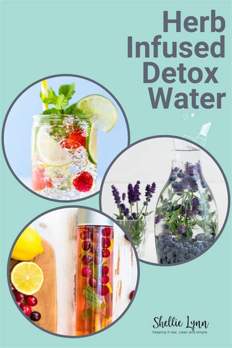 6 Herb Infused Detox Water Recipes In 2020 Herb Infused Water Recipes