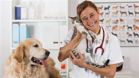 27 Veterinarian Thank You Note Example Messages