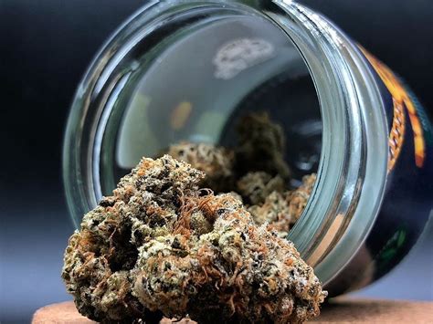 Maybe you would like to learn more about one of these? Gelato #33 weed strain for sale | High Marijuana Shop