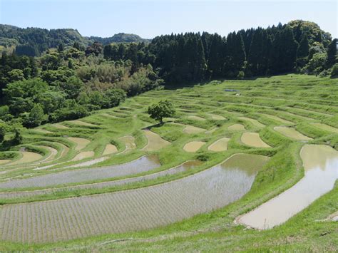 Senmaida Scenic Rice Terraces Evoking Old Japan Japan Today