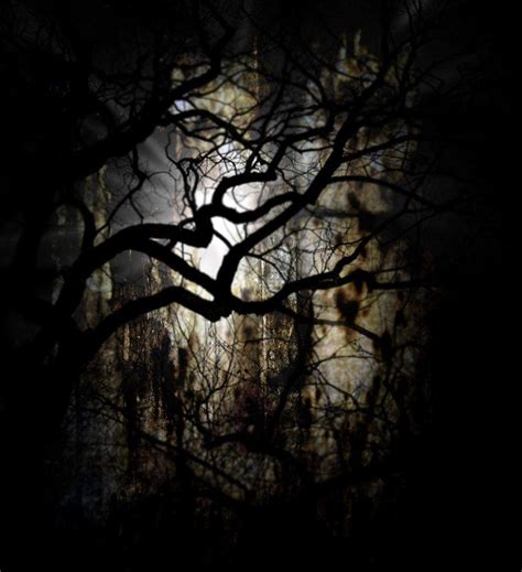 Dark Place Wallpapers Top Free Dark Place Backgrounds Wallpaperaccess