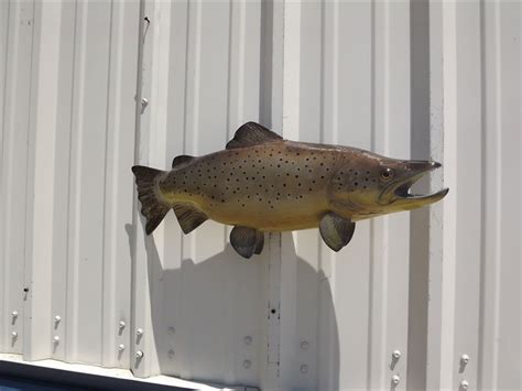 The quality of our fish skin mounts and replicas of the trout species accurately resembles the natural shape & coloration of each fish. 24 Inch Brown Trout Mount | 24 Inch Brown Trout Replica ...