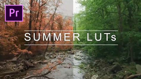 It would be nice if you could add unique effects to your photos and make everyone the video luts work with adobe premiere, final cut pro x, davinci resolve and more. Free Summer LUTs , Cinematic LUTs Adobe Premiere Pro ...