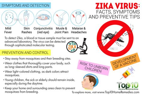 Zikavirus Symptoms Risks And Prevention Tips To Keep You And Your