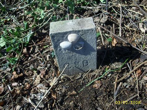 Kelvin sampson was born on october 5, 1955 in laurinburg, north carolina, usa. Bradshaw Cem., Sampson Co, NC