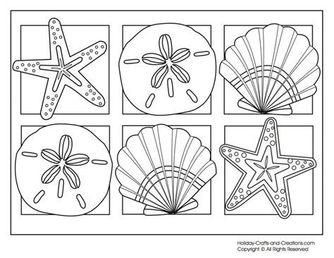 beach shells coloring pages   print