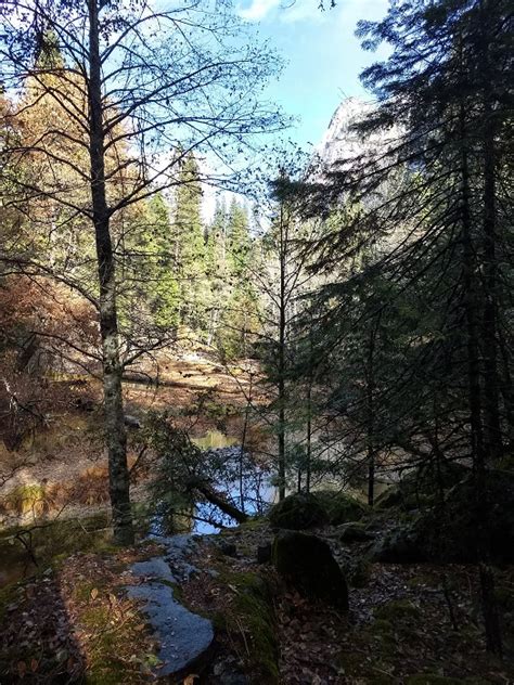 Mirror Lake Hiking Trail Guide Yosemite National Park The Simple Hiker