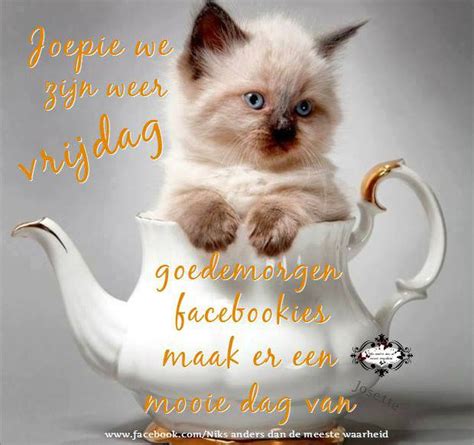 De betekenis van goede vrijdag. Beste Krabbels Nl Verjaardag @SXB31 - AgnesWaMu