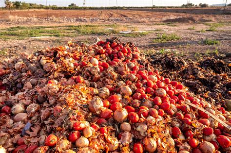 Food loss and waste is a growing problem in our modern society. National Food Waste Tax Incentive: Boosting food relief ...