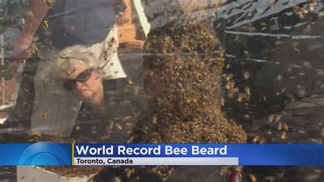Bee Beard Record Smashed Youtube