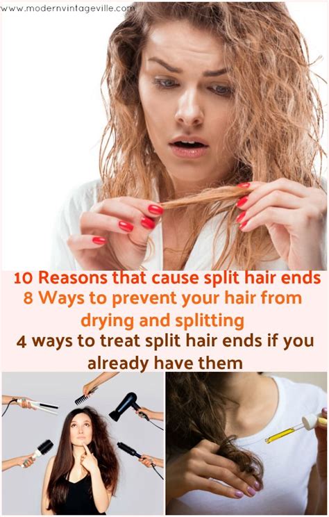 What Causes Split Ends In Your Hair And How To Avoid Them Dry Hair