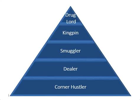 Drug Cartel Hierarchy