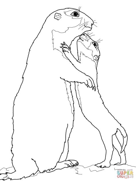 Children love to interact, see, if possible touch and watch the animals in the zoo. Prairie Dog Baby and Mother coloring page | Free Printable Coloring Pages