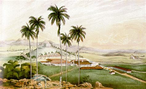 Cuban Sugar Mills In The 19th Century