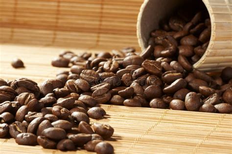 Coffee Grains Stock Photo Image Of Aromatic Aroma Arabica 7174516