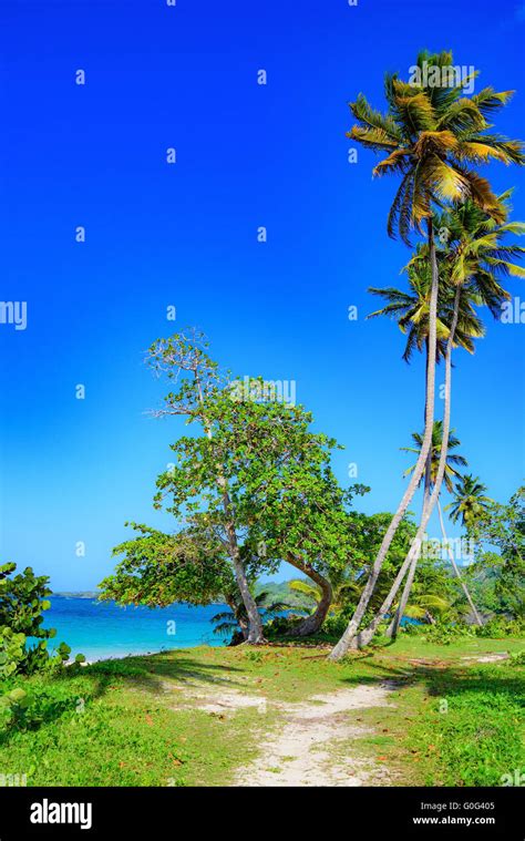 Paradise Tropical Beach Stock Photo Alamy