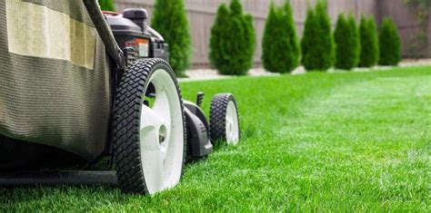 It's going to generally be based on the quality and experience level of the person or company tending your lawn, where you're located (what city and the cost of living there), the type of grass you have (some grasses are harder to care for than ot. How Much Does it Cost to Hire a Gardener? | Service.com.au