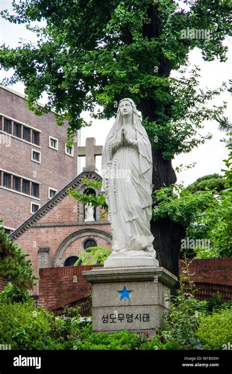 Estatua De La Virgen María En Un Parque Público En Corea Del Sur