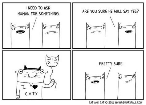 pin by sandy ayres on cats furry rulers of the world cat person cats comics