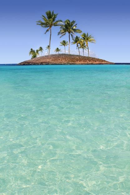 Premium Photo Paradise Palm Tree Island Tropical Turquoise Beach
