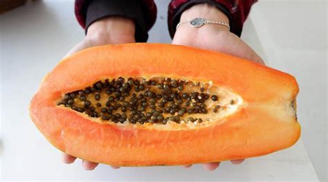 Check spelling or type a new query. Do you know the health benefits of papaya seeds ...