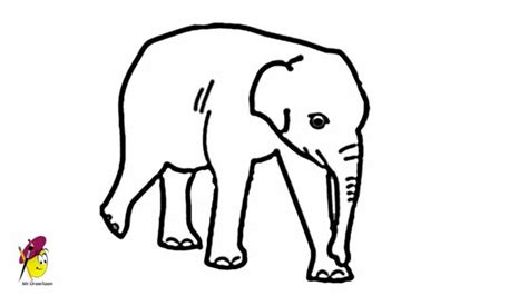 Baby Elephant Easy Drawing How To Draw An Elephant Baby Elephant