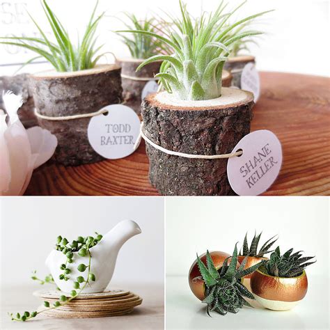 Cute Office Plants Popsugar Smart Living