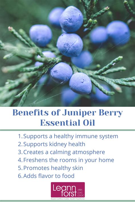 Benefits Of Juniper Berry Essential Oil Leann Forst