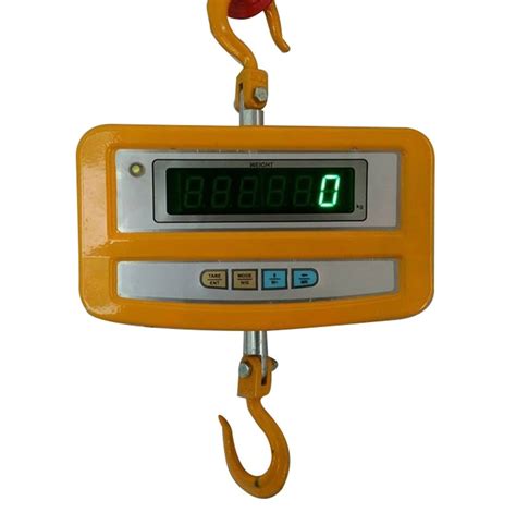 Abs Body 200kg Digital Hanging Scale Size 14 X 8 Inch At Rs 4550 In